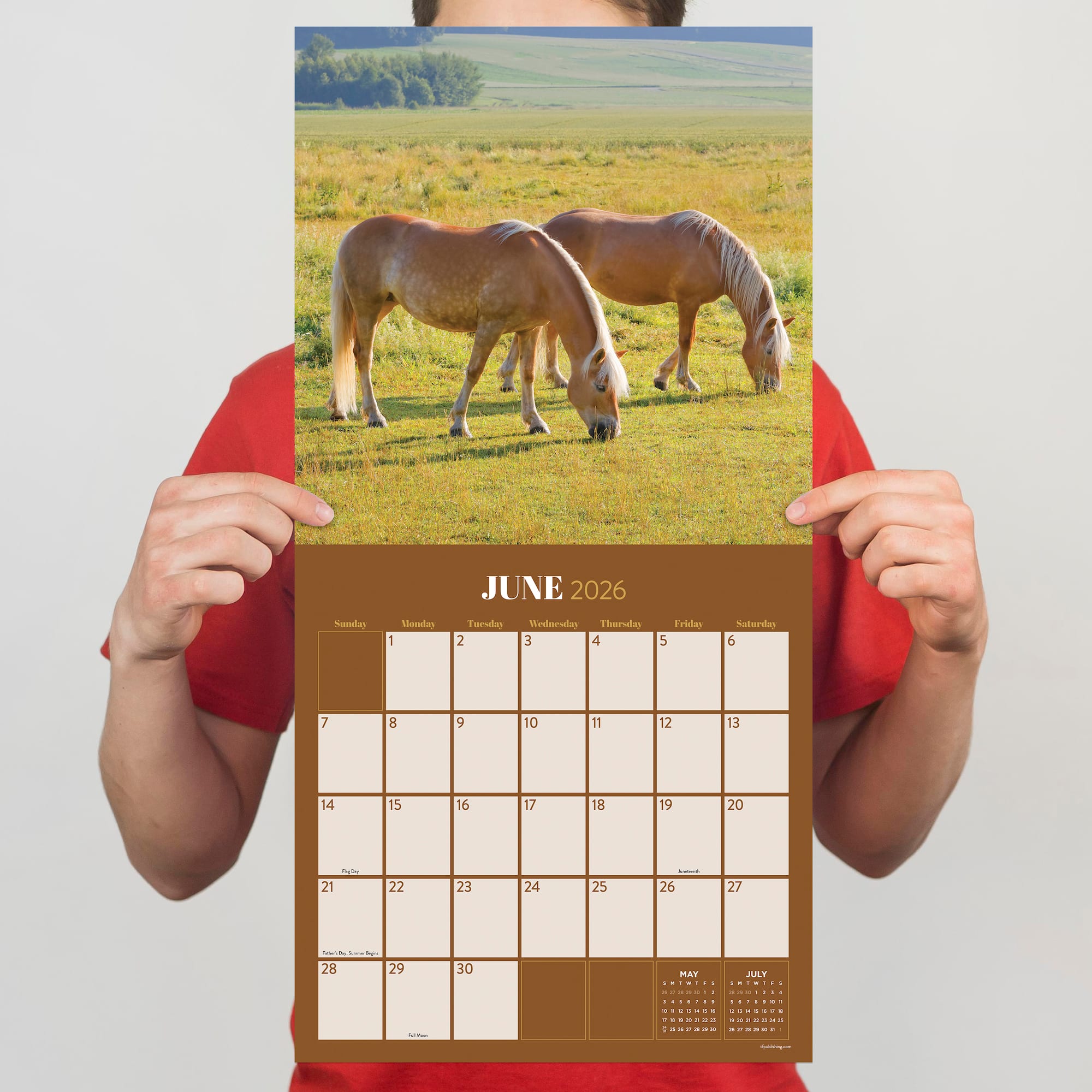 2026 Horses Wall Calendar